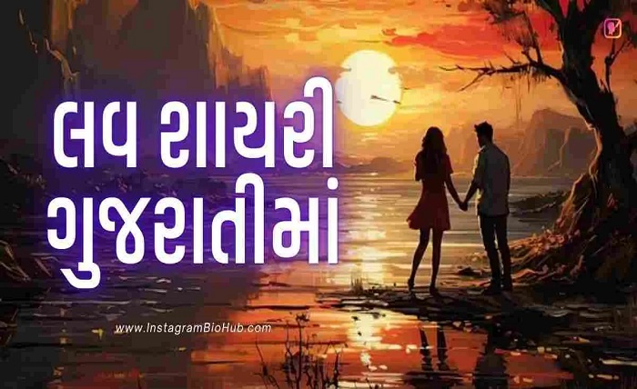 gujarati shayari 2 line attitude